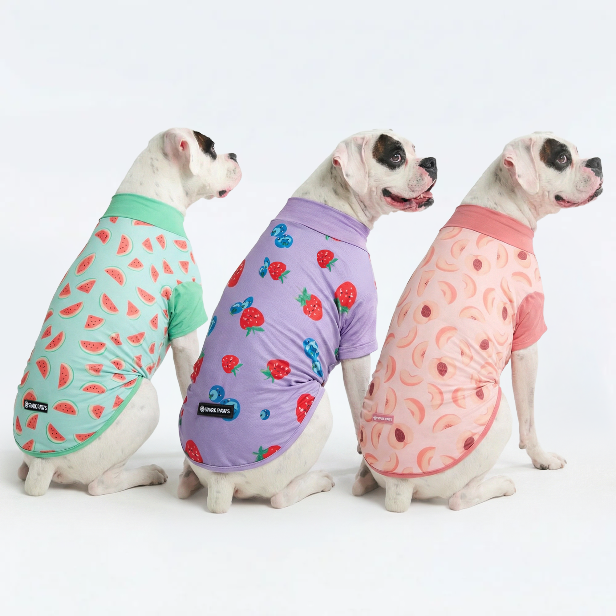 Sunblock Dog T-Shirt (3-pack) - Watermelon. Berries. Peaches - Image 3