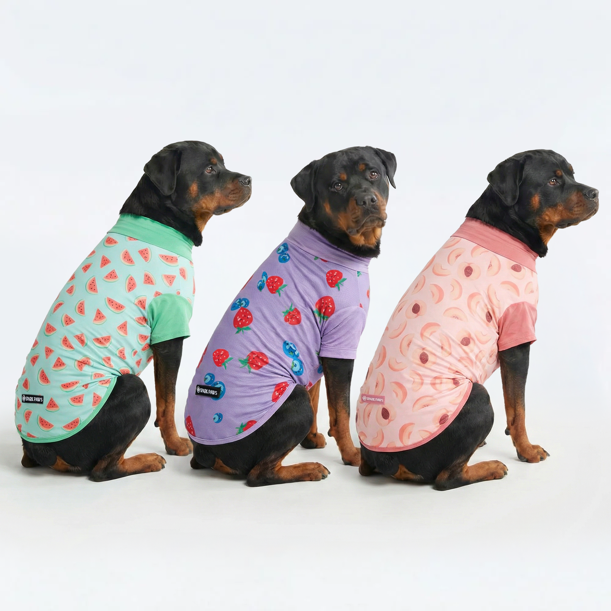 Sunblock Dog T-Shirt (3-pack) - Watermelon. Berries. Peaches - Image 4