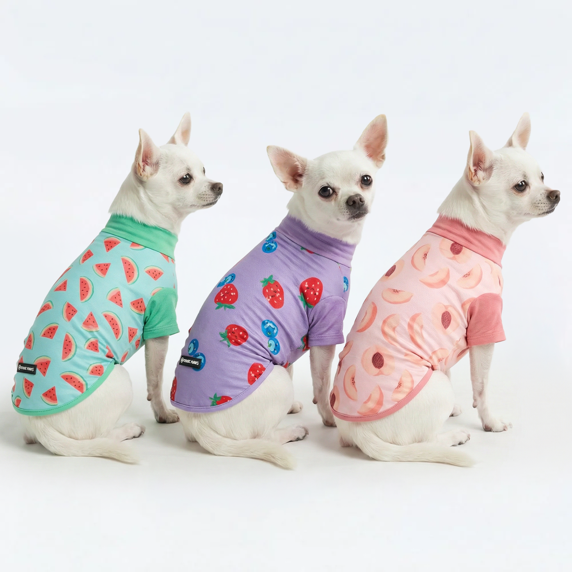 Sunblock Dog T-Shirt (3-pack) - Watermelon. Berries. Peaches - Image 2